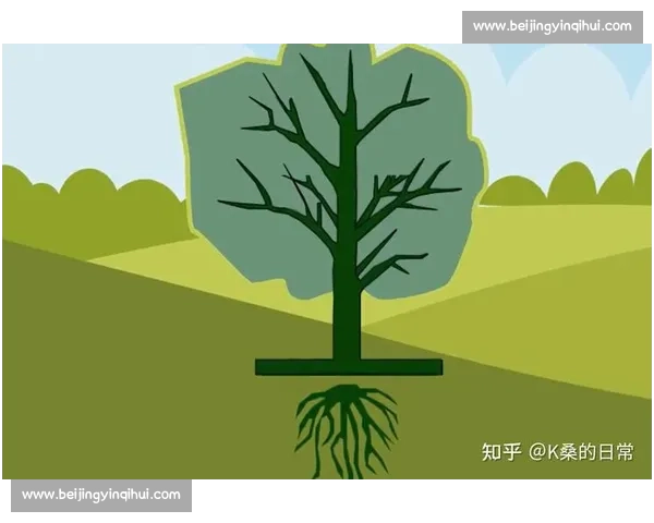 心理调节视角下提升自我情绪管理与心理韧性研究